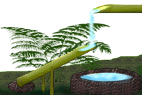 bamboo
